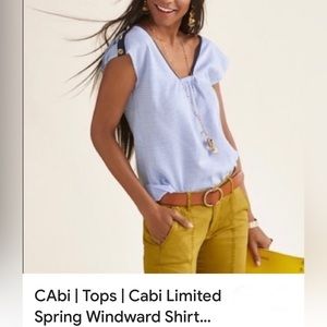 Cabi windward top